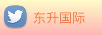 东升国际 logo